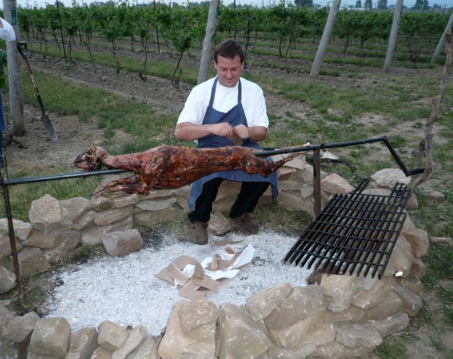 Chef Michael Dixon guarding dinner-Eigensinn farm lamb