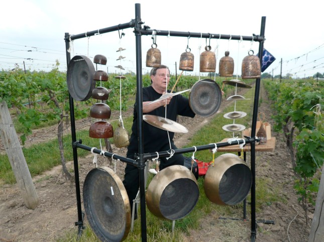 Robin (Photo: Ray Dillard)