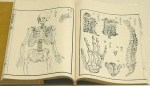 1774-1st Japanese Treatise on Western Anatomy.