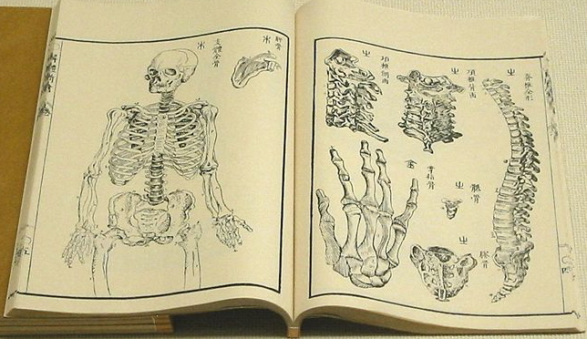 1774-1st Japanese Treatise on Western Anatomy.