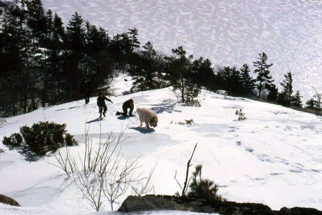 Almost at the top with Lahe George below. Our Great Pyrenees dog Chibi was having the day of his life. Our daughter after all, would make it.