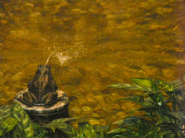 The Frick Gallery pond with frog.NYC.