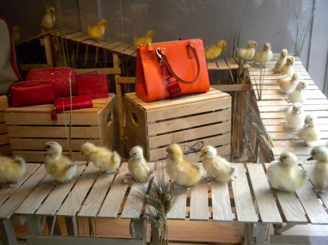 Window display, Madison Ave. 