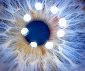 A human eye projected on a computer screen by the Hawk USB Digital Microscope. The white circals are the microscope's lights.  Image by Bryce Engelman.
