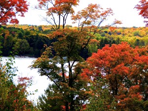 Northern Lake Rosseau, Muskoka, Canada.  Photo by R.E.